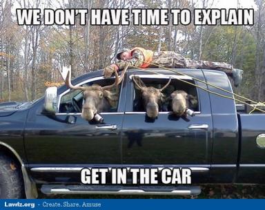 moose-beer-man-tied-truck-we-dont-have-time-to-explain-get-in-the-car-funny-meme.jpg